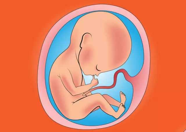 长春供卵生子中心，长春助孕生子-长春辅助生殖中心