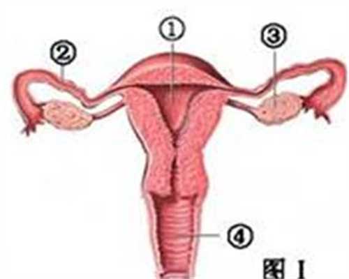 代孕流程和费用-男性需注意2大行为伤害精子健康