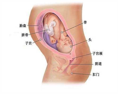 代孕网_代孕是妻子的孩子吗_输卵管炎会影响代孕吗