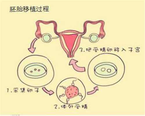 试管代孕成功率~代孕那些比较好6种方法预测生男生女！